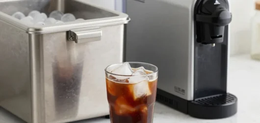 Evaluating the Social Media Famous Countertop Pebble Ice Maker